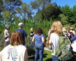 Salida educativa de los alumnos de Jardinería – Diseño